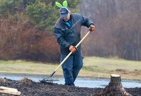 Sporting a set of bunny ears, Percy Creamer, a service worker at Oceanbreeze Village, removes a tree stump on Princess Margaret Blvd in Dartmouth Wednesday March 27, 2024.

TIM KROCHAK PHOTO