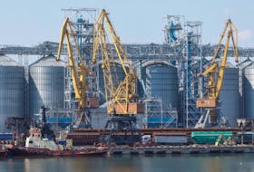 A view shows a grain terminal in the sea port in Odesa after restarting grain exports, as Russia's attack on Ukraine continues, Ukraine August 19, 2022.