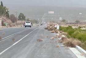 Tumbleweeds roll across a road, as high winds rolled through parts of Nevada, Arizona and California, in Pahrump, Nevada, U.S., March 2, 2024 in this screen grab obtained from a social media video. Ryan Muccio/via REUTERS