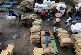 A labourer sleeps on sacks as traffic moves past him in a wholesale market in the old quarters of Delhi, India, January 7, 2020.