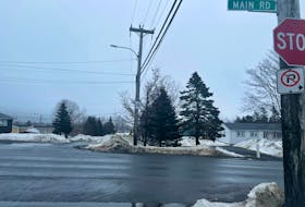 A number of properties along Main Road and Shoal Bay Road are being considered for rezoning in Goulds, which the city says could change the area from a rural to suburban feel. Evan Careen/The Telegram