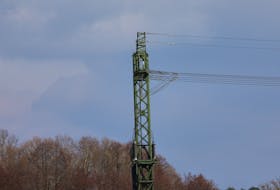 A view of damaged pylon after Tesla Gigafactory in Gruenheide near Berlin halted production and was left without power after suspected arson set an electricity pylon ablaze, near Steinfurt, Germany, March 5, 2024.