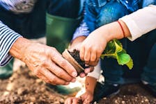 Gardening and being outdoors bring with it some health benefits.
