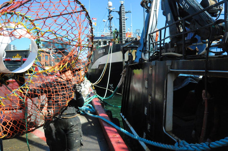 Back to the hill? A week into delayed season, fisheries union poised to  rally in St. John's over crab pricing dispute