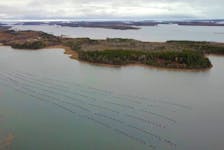 An aquaculture site in the Municipality of the District of Argyle. Nova Scotia teams up with the municipality to collect scientific data in designated areas through a pilot project. - Centre for Marine Applied Research / Perennia