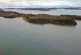 An aquaculture site in the Municipality of the District of Argyle. Nova Scotia teams up with the municipality to collect scientific data in designated areas through a pilot project. - Centre for Marine Applied Research / Perennia