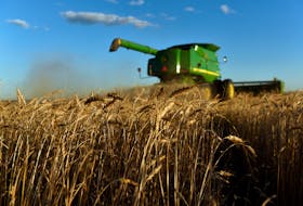 A combine harvests wheat in Corn, Oklahoma, U.S., June 12, 2019. 