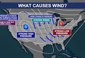 Wind is formed in an attempt to restore balance from differences in air pressure.