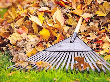 Small leaves will have disintegrated, leaving debris fine enough to scratch into the soil as you prepare it for springtime planting.
