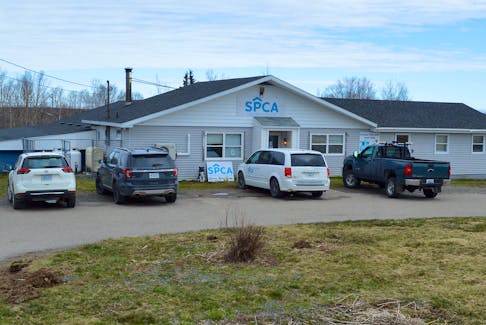 The Nova Scotia SPCA’s Cape Breton shelter on East Broadway. In February, the building had to be evacuated after a four-day snowstorm caused the ceilings and beams to bow. While the structure has since been safely fortified, it was built in 1977 and needs to be replaced, says Nova Scotia SPCA director of external relations Sarah Lyon. “Like we've always known and like we said on Feb. 7, this building was built over four decades ago and we need a new building for the animals of Cape Breton.” Chris Connors/Cape Breton Post