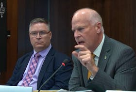 During a standing committee on fisheries and oceans in Ottawa, Conservative Halifax MP Rick Perkins accused the Liberals of incompetence on the closed elver, or baby eel, fishery.
