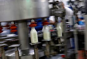 Bottles of milk are been processed at the South Mountain Creamery farm in Middletown, Maryland U.S., May 19, 2020.