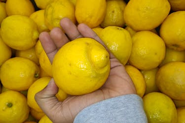 Rejected lemon because it did not fit the food beauty standard