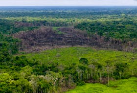 A wooded area with deforestation is seen in the Serrania del Chiribiquete, Colombia April 28, 2019. Courtesy of Colombian Presidency/Handout via