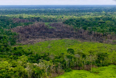 A wooded area with deforestation is seen in the Serrania del Chiribiquete, Colombia April 28, 2019. Courtesy of Colombian Presidency/Handout via