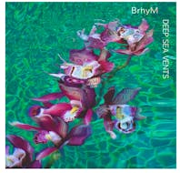 Acclaimed singer-songwriter and keyboard player Bruce Hornsby has teamed up with experimental New York chamber ensemble yMusic for an eye-opening album about water. CONTRIBUTED