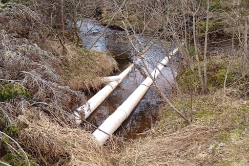Cardigan resident Parnell Hughes recently voiced concerns to the province about pipes from a local fish hatchery’s pond extending into a nearby brook. Hughes said these pipes had not been that long previously. Contributed