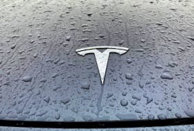 A view shows the Tesla logo on the hood of a car in Oslo, Norway November 10, 2022.
