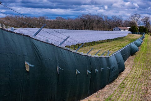 Solar panels stand on Dave Duttlinger's farmland that he leased to Dunns Bridge Solar LLC in Wheatfield, Indiana, U.S., April 5, 2024. 