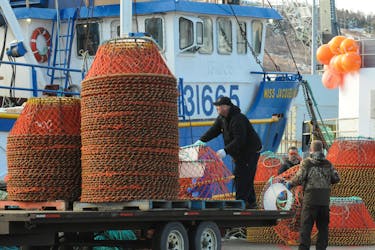 Crewmembers load crab pots onto a fishing boat at St. John's at the start of the 2022 fishing season. Joe Gibbons/Telegram File Photo