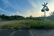 A rail line near Orangedale, part of a railway corridor on Cape Breton Island that hasn't been in use since 2015. IAN NATHANSON/CAPE BRETON POST
