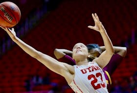 North Preston's Daneesha Provo, who spent four NCAA basketball seasons with the University of Utah, is in her first season with the West Adelaide Bearcats of the Australian pro circuit NBL1. - UNIVERSITY OF UTAH