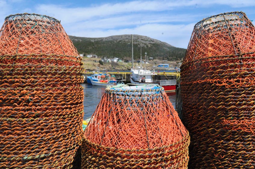 Castable fish Finder. - Carbonear Area, Newfoundland Labrador