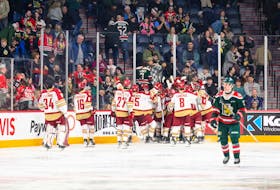 The Bathurst Titan eliminated the Halifax Mooseheads in a first-round QMJHL playoff sweep. - Halifax Mooseheads