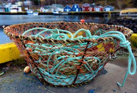 Petty Harbour pot  
   A crab pot sits dockside in scenic Petty Harbour. Keith Gosse • The Telegram