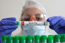 A person holds a test tube labelled "Bird Flu", in this picture illustration, January 14, 2023.