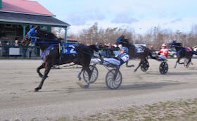 Revenant, left, was named the co-horse of the year along with QTS Charlie at Northside Downs during the Cape Breton Horseman’s Association 2023 awards recently. It's expected to be one of the horses to watch during the 2024 harness racing season at Northside Downs. CONTRIBUTED/CHRIS ABBASS.