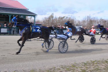 Revenant, left, was named the co-horse of the year along with QTS Charlie at Northside Downs during the Cape Breton Horseman’s Association 2023 awards recently. It's expected to be one of the horses to watch during the 2024 harness racing season at Northside Downs. CONTRIBUTED/CHRIS ABBASS.