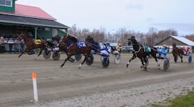 Runaway Mystery, #6, with driver Harold LeBlanc Jr., left, edged out David Lloyd George, centre, and Keigan Madden in two minutes four second during Saturday's opening day of Northside Downs' 2024 harness racing season. CONTRIBUTED/CHRIS ABBASS