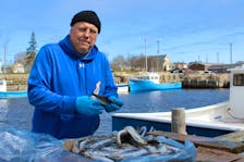After the cod fishery shut down in 1992, John Thomson of Glace Bay took up welding in Ontario. But for the past 20 years, he's been a lobster fisherman. Monday, he was getting bait ready for Wednesday's opening of the lobster fishery in Zone 27. BARB SWEET/CAPE BRETON POST