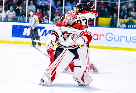 Drummondville Voltigeurs goaltender Riley Mercer has been unbeatable in the QMJHL Gilles-Courteau Trophy Finals. Heading into Monday’s Game 3, Mercer is 2-0 with a pair of shutouts. Photo courtesy Kassandra Blais/QMJHL