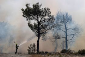 A Czech firefighter tries to extinguish a wildfire burning near the village of Provatonas in the region of Evros, Greece, September 3, 2023.