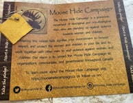 Newfoundland and Labrador is continuing its seventh year of participation in the Moose Hide Campaign, with members of the House of Assembly joining the movement on Wednesday, May 15.