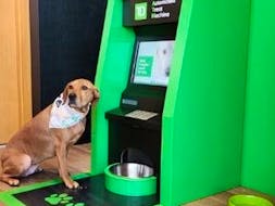 TD Bank unveiled its first Canadian Dog ATM (Automated Treat Machine) on Wednesday with plans for it to go into the TD Bank' s new Terrace Building in Toronto by June. The first one was opened in Philadelphia about a month ago.