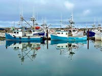 Lobster vessels sit tied up at the Meteghan wharf on a calm and quiet Sunday morning. DFO says the coastal lobster fishery will not be impacted by marine protected areas. TINA COMEAU