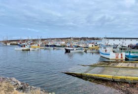 By linking local food supply to foods prepared and served at schools, we unlock other potential connections, says Emily Doyle. Fishing boats at Old Perlican harbour. — Glen Whiffen photo