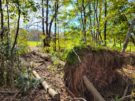 Wooded areas in Charlottetown’s Victoria Park have been substantially thinned out by post-tropical storm Fiona. About 13 per cent of forested areas saw most trees blown down during the Fall 2022 storm. – Stu Neatby