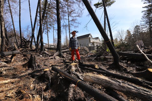 FOR LAMBIE STORY:
  Tyler McLatchie stands amongst burnt timber and damaged trees from last spring's wildfire, behind their family home in the Westwood Hills subdivision in Upper Tantallon Wednesday May 15, 2024. The 2023 wildfire began at a home nearby.

TIM KROCHAK PHOTO