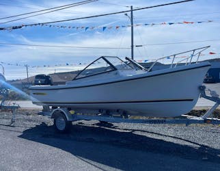 This Sea Breeze boat, along with a Mercury motor and trailer, were stolen from Coastal Outdoors in Carbonear on Friday, May 17.