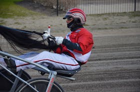 Driver David Dowling warms up a horse before a recent race at Red Shores Racetrack and Casino at the Charlottetown Driving Park. Dowling recorded two wins on a nine-day harness racing card in Charlottetown on May 16. Jason Simmonds • The Guardian