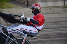 Driver David Dowling warms up a horse before a recent race at Red Shores Racetrack and Casino at the Charlottetown Driving Park. Dowling recorded two wins on a nine-day harness racing card in Charlottetown on May 16. Jason Simmonds • The Guardian
