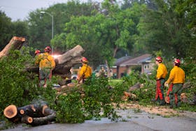 Houston Fire Department Wildland District 14 crews assess a downed tree blocking a street after a severe storm caused widespread damage in Spring Branch, Texas, U.S., May 17, 2024.