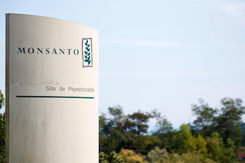 The logo of Monsanto is seen at the Monsanto factory in Peyrehorade, France, August 23, 2019.