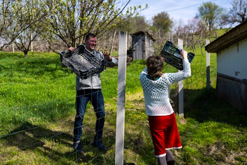 Akos Varga hands empty crates to Emo Ambrus at Varga's farm in Nagybereny, Hungary, March 26, 2024.