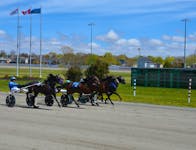 A photo was required to determine the winner of Race 2 at Red Shores at Summerside Raceway on May 20 as four horses surged to the wire in the five-horse field. Driver Jaycob Sweet and James Reigns, second left, won the race while Mudslide Lucas and driver Myles Heffernan Sr., second right, finished second. The Corey MacPherson-driven Mr William, left, charged to the show position and Majestic Mason, driven by Norris Rogers, right, was fourth. Time of the mile was 2:02.2. Jason Simmonds • The Guardian