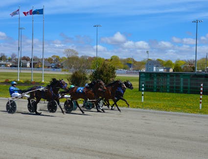 A photo was required to determine the winner of Race 2 at Red Shores at Summerside Raceway on May 20 as four horses surged to the wire in the five-horse field. Driver Jaycob Sweet and James Reigns, second left, won the race while Mudslide Lucas and driver Myles Heffernan Sr., second right, finished second. The Corey MacPherson-driven Mr William, left, charged to the show position and Majestic Mason, driven by Norris Rogers, right, was fourth. Time of the mile was 2:02.2. Jason Simmonds • The Guardian